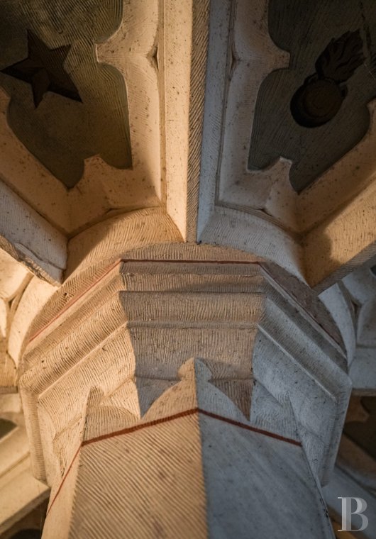 chateaux a vendre poitou charentes   - 4