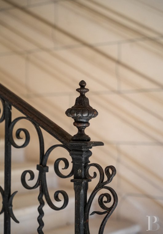 chateaux a vendre poitou charentes   - 8