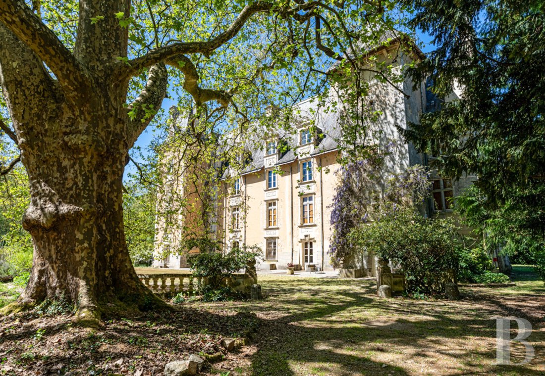 chateaux a vendre poitou charentes   - 1