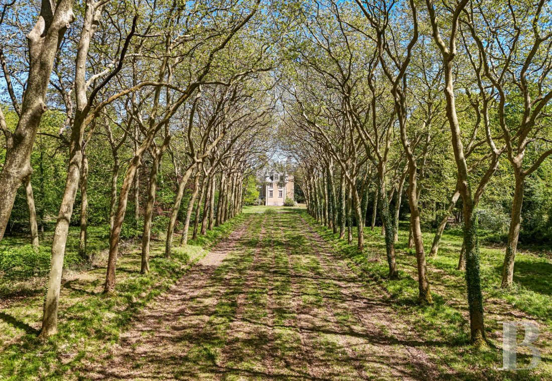 chateaux a vendre poitou charentes   - 30
