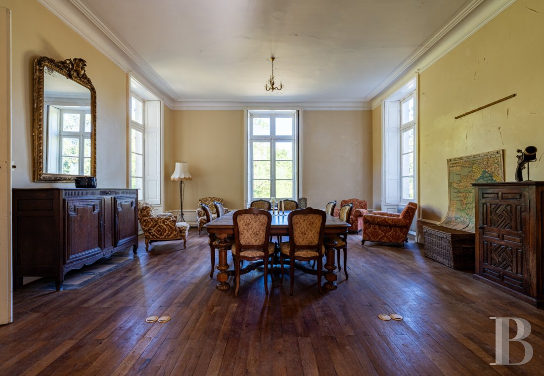 chateaux a vendre poitou charentes   - 6