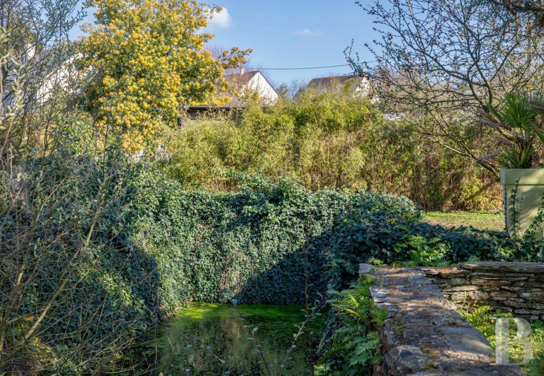 properties in town pays de loire   - 11