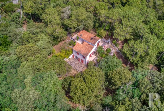 poitou-charentes - À Saint-Georges-d’Oléron, une maison de villégiature  au milieu d’une pinède, à proximité de la pointe de Chaucre