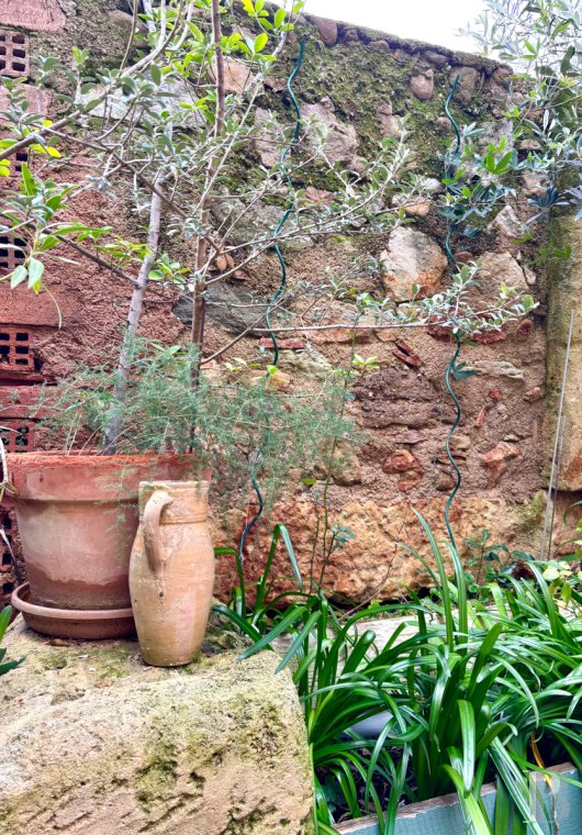 character properties France languedoc roussillon   - 9