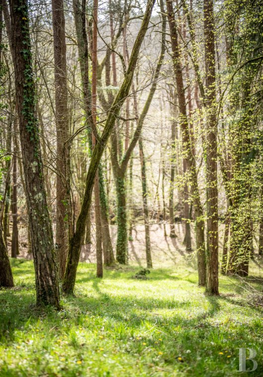 maisons de caractere a vendre aquitaine   - 16