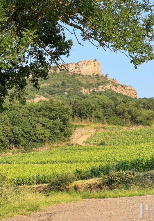 traditional mas house for sale burgundy   - 13