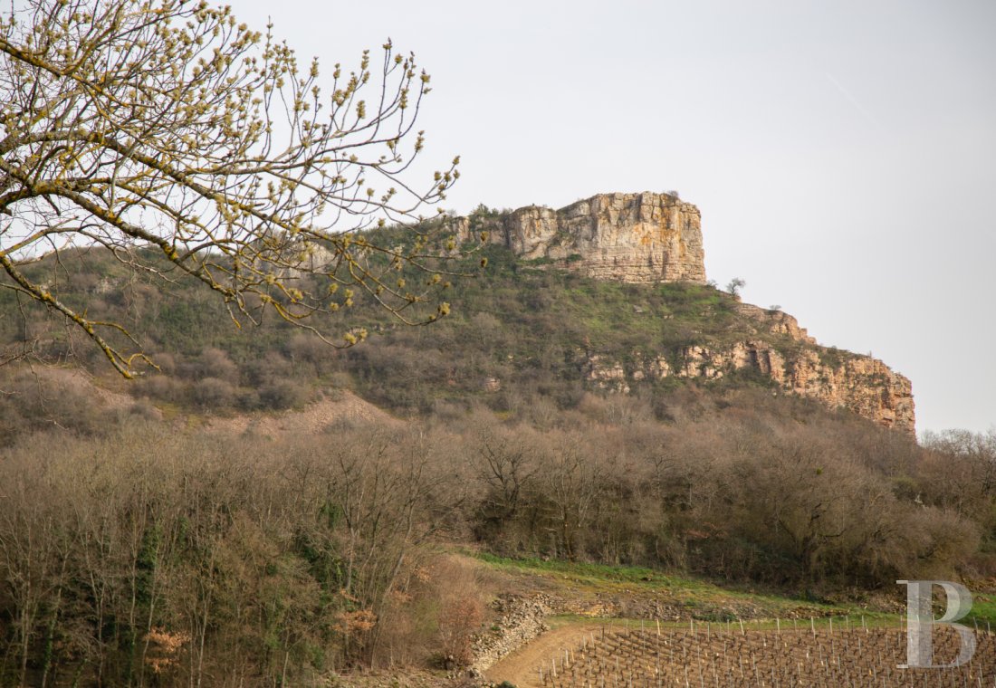 traditional mas house for sale burgundy   - 14