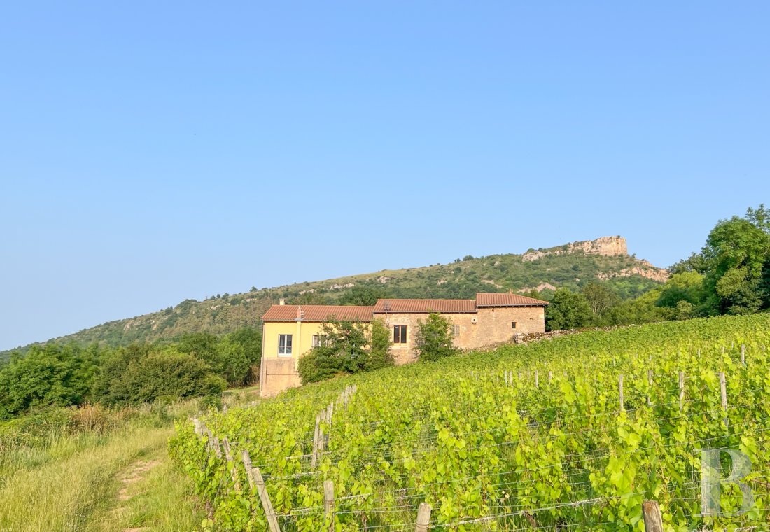 traditional mas house for sale burgundy   - 2