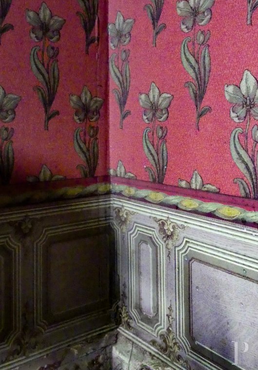 property for sale France languedoc roussillon   - 7