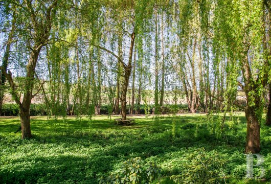 mills for sale France ile de france   - 15