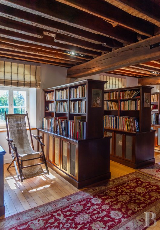 mills for sale France ile de france   - 9