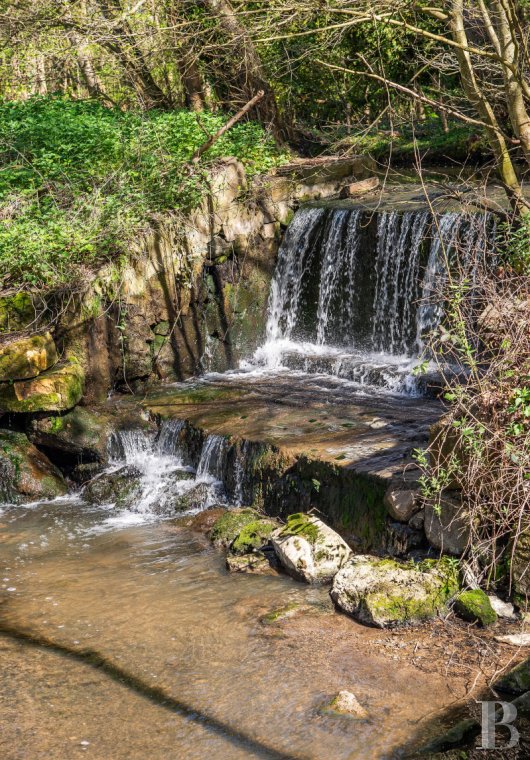 mills for sale France ile de france   - 16