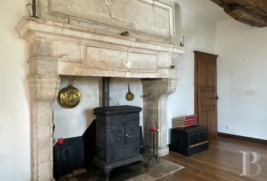 chateaux a vendre lorraine   - 13