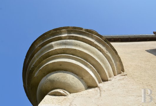 chateaux a vendre lorraine   - 8