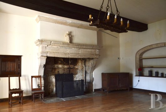 chateaux a vendre lorraine   - 12