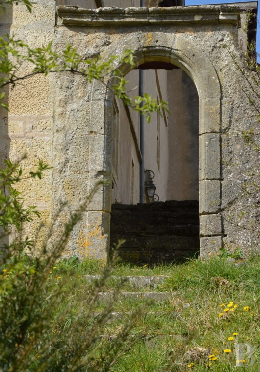 chateaux a vendre lorraine   - 19