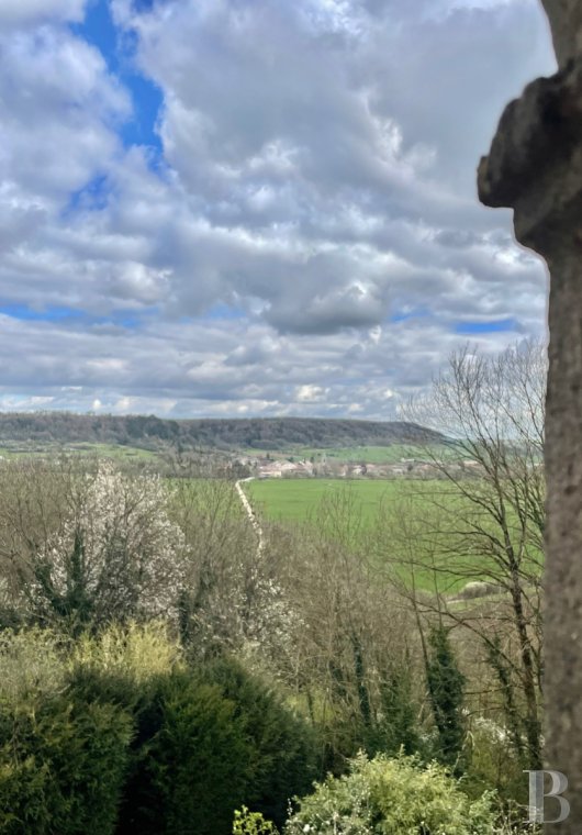 chateaux a vendre lorraine   - 20