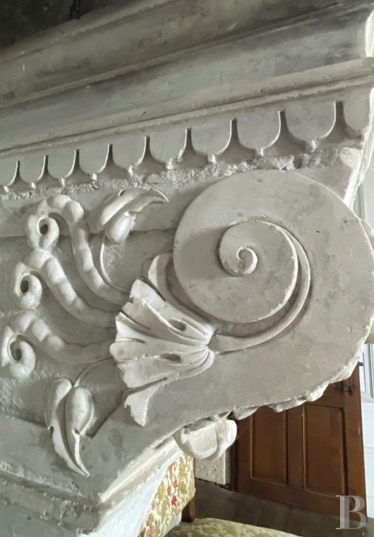 chateaux a vendre lorraine   - 11