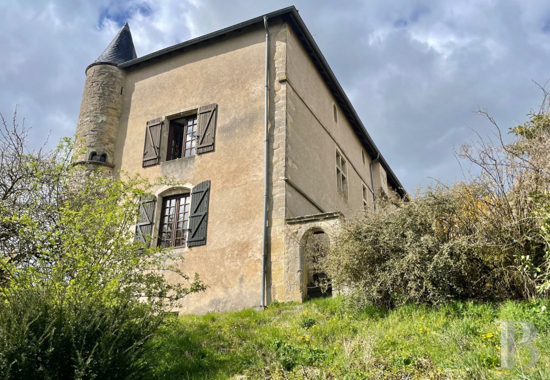 chateaux a vendre lorraine   - 1