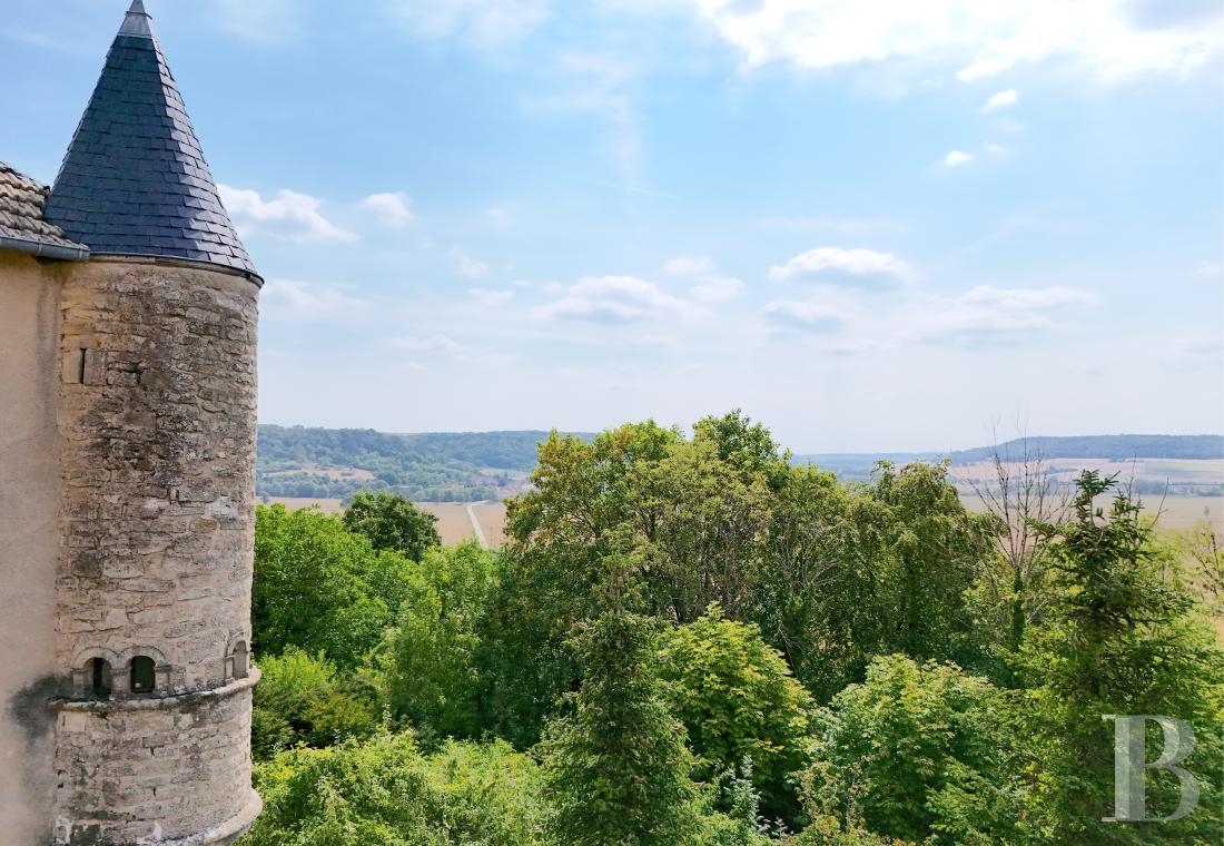 chateaux for sale France lorraine   - 1