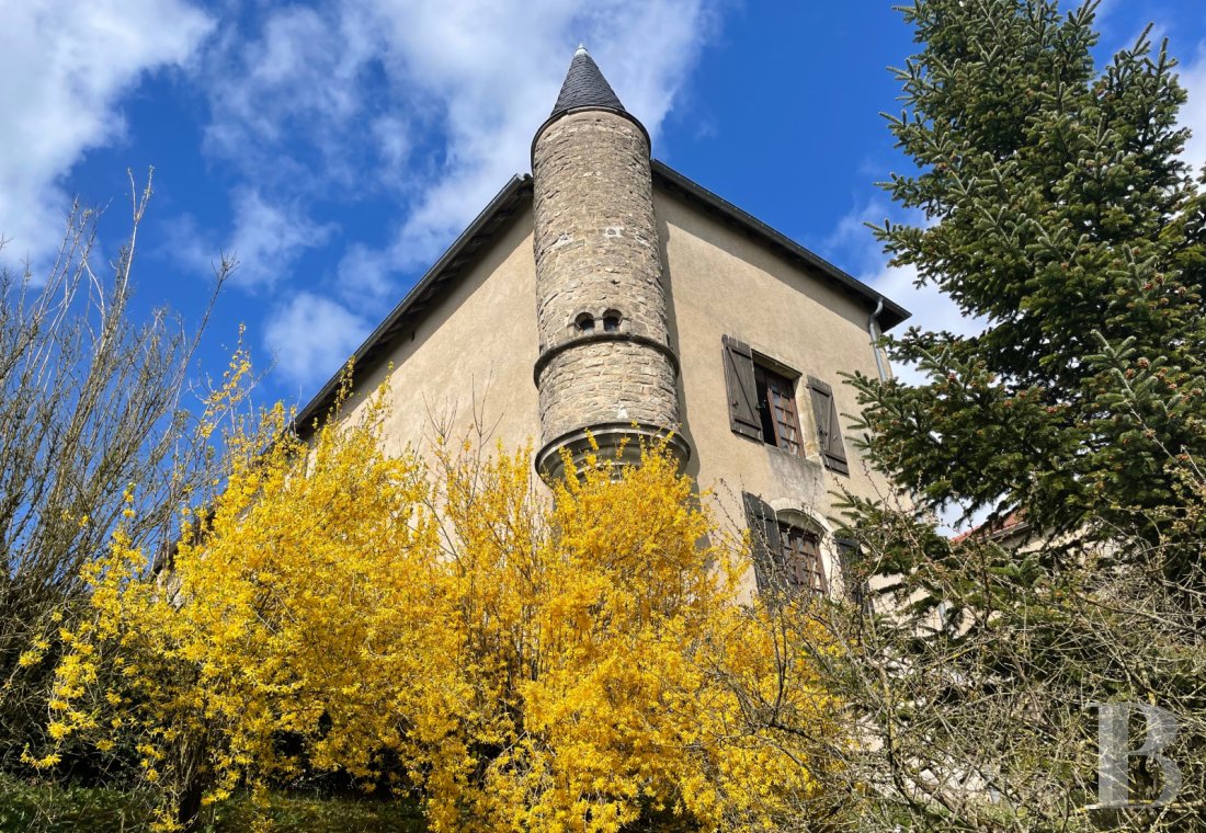 chateaux a vendre lorraine   - 2