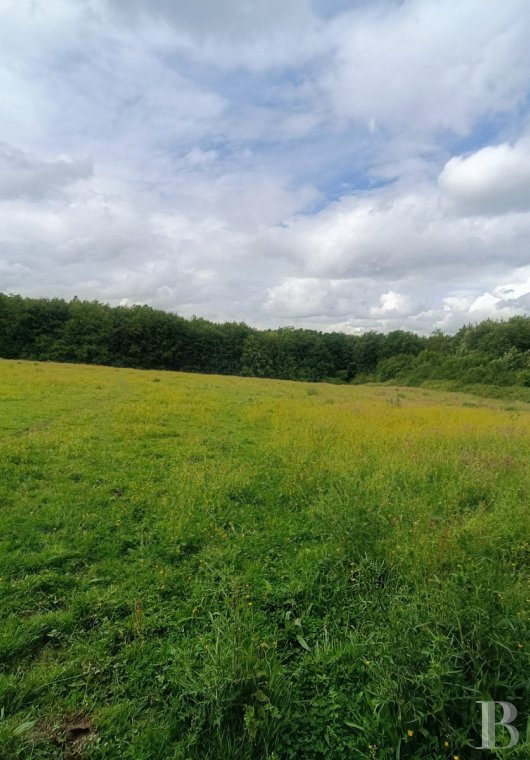 character properties France picardy   - 11