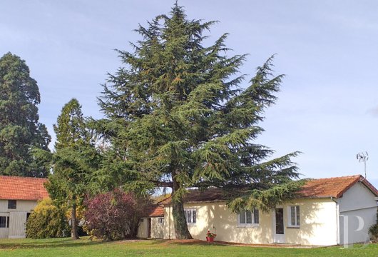 character properties France center val de loire   - 16