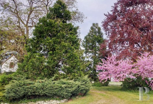 character properties France center val de loire   - 23