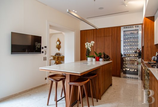 mansion houses for sale paris   - 8