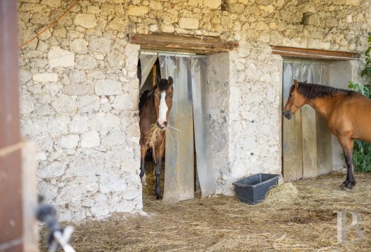 character properties France midi pyrenees   - 23