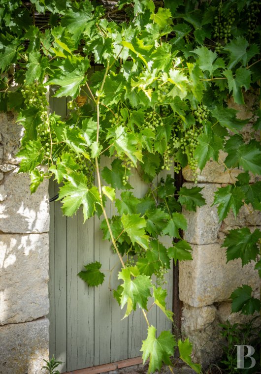 character properties France midi pyrenees   - 20