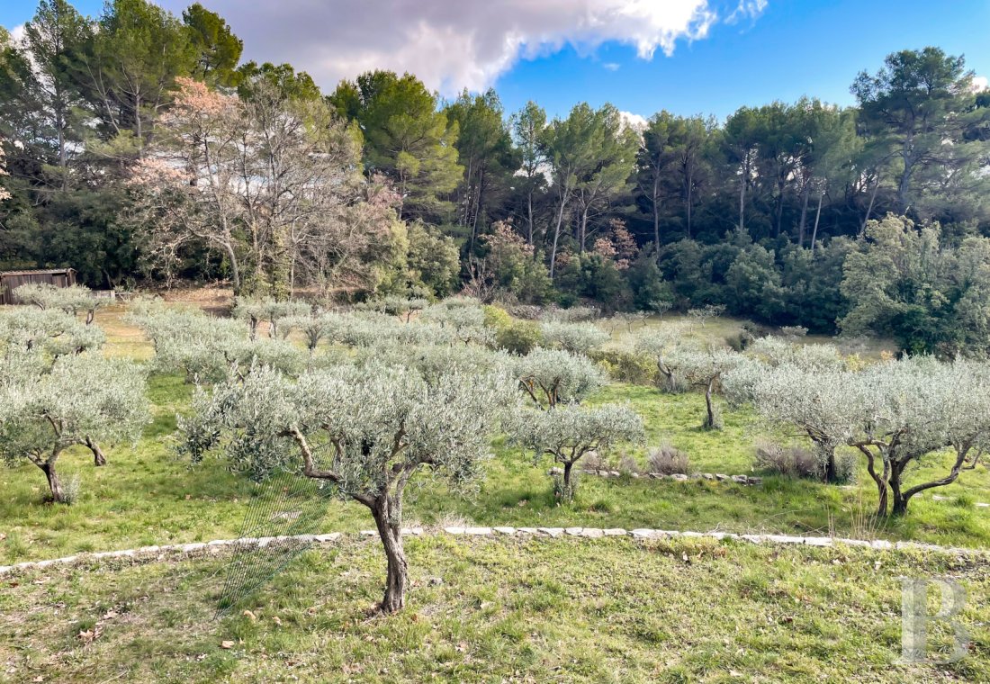 property for sale France provence cote dazur   - 12