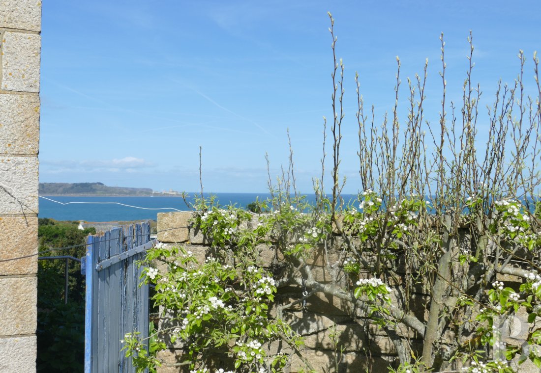 character properties France brittany   - 14