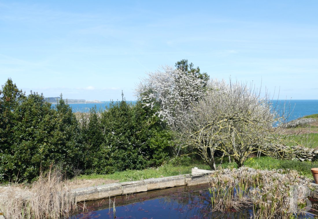 character properties France brittany   - 13