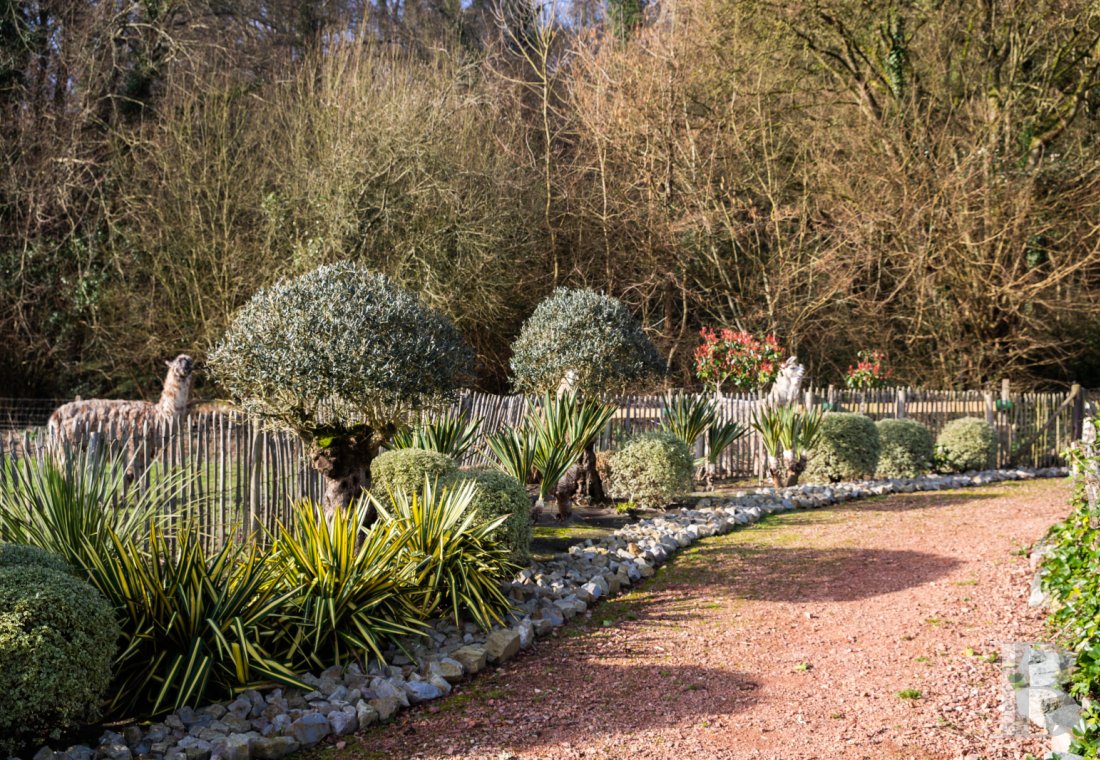 character properties France lower normandy   - 15