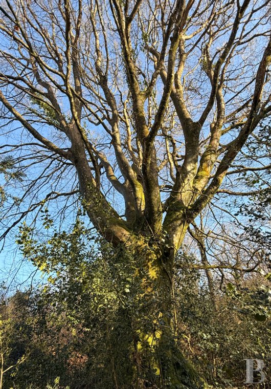vieilles maisons francaises bretagne   - 13