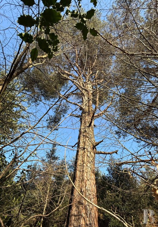 vieilles maisons francaises bretagne   - 11