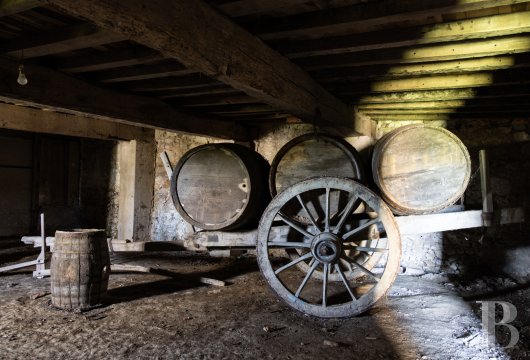 castles for sale France aquitaine   - 17