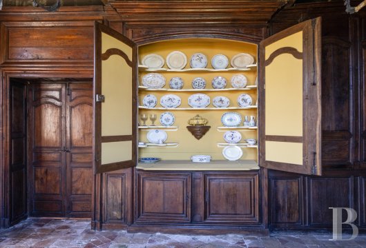 castles for sale France aquitaine   - 8