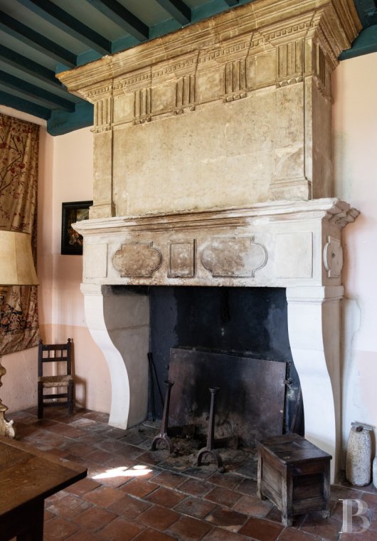 castles for sale France aquitaine   - 10