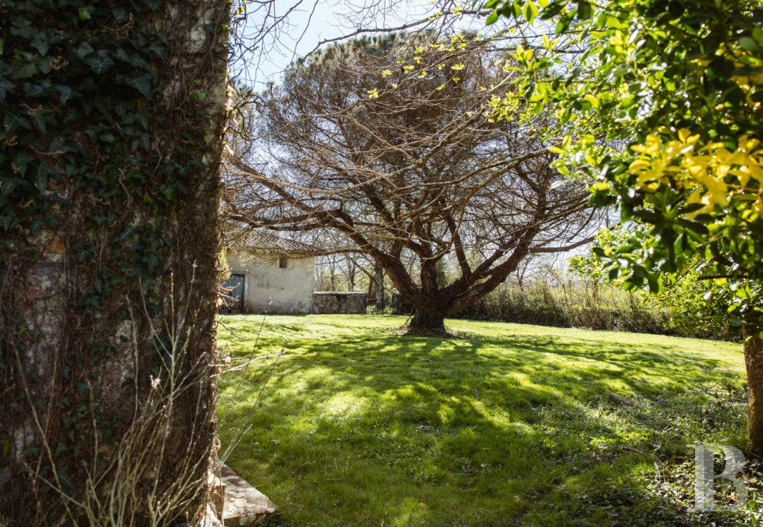 castles for sale France aquitaine   - 19