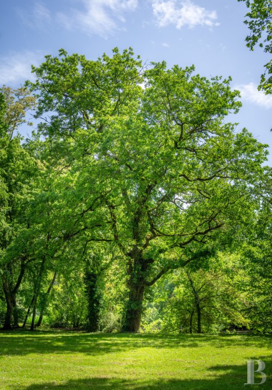 belles demeures midi pyrenees   - 15
