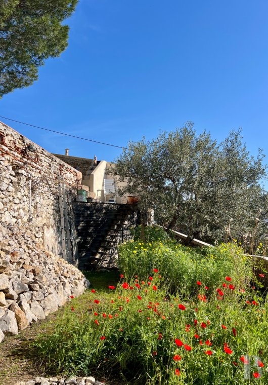 character properties France provence cote dazur   - 16
