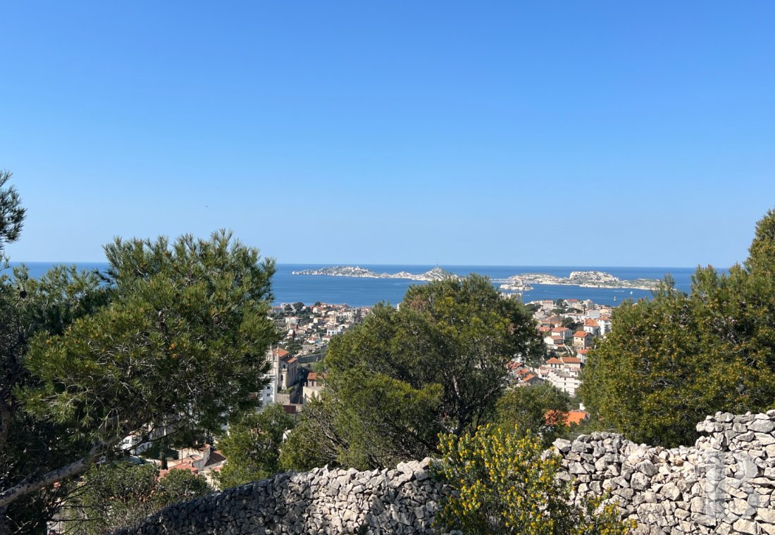 character properties France provence cote dazur   - 20