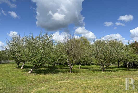 french equestrian properties for sale pays de loire   - 14