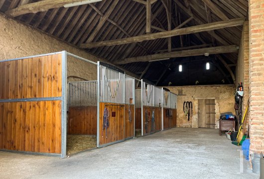 french equestrian properties for sale pays de loire   - 10
