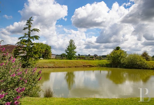 french equestrian properties for sale pays de loire   - 17