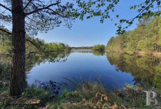 In Touraine, an hour from Paris by train, a country house available for year-round rental, with access to the services and facilities of a vast estate - photo  n°19