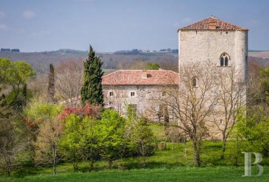 midi-pyrenees - Entre Bordeaux et Toulouse, à 10 min d'une cité gersoise de caractère, une tour médiévale classée MH, restaurée, et son logis 