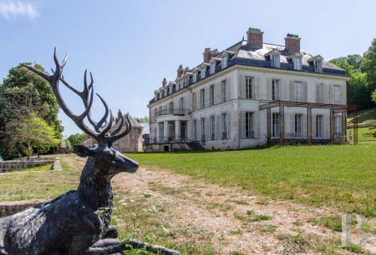 chateaux for sale France ile de france   - 3